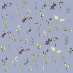 Studio Reta wild flowers